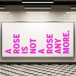 A Rose is Not a Rose Anymore by Enrique Baeza