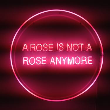 A Rose is Not a Rose Anymore. thumb