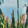 Le Jardin Exotique - detail/texture
