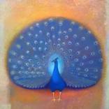 peacock by Niko Kherkeladze