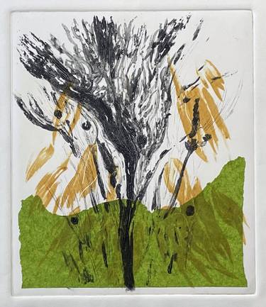 Print of Nature Printmaking by Rafael Iván Hernández