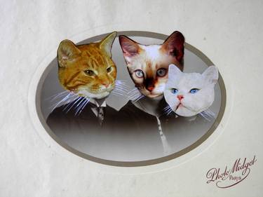Print of Illustration Cats Collage by Marge Gueny