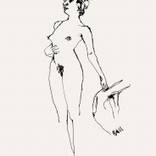 Collection Figure Drawing