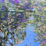 Collection Reflective Waters