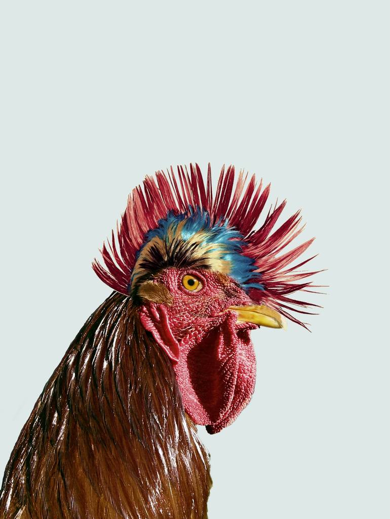 Punkie Rooster (Limited Edition Collage Print 1 of 10) Collage by Jaume ...