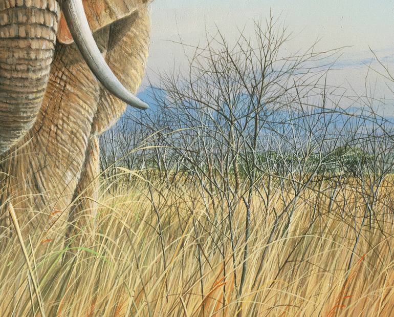 Original Other Animal Painting by Mike Brown