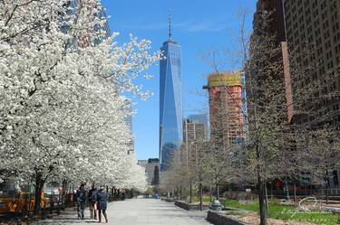 Spring Time at WTC thumb