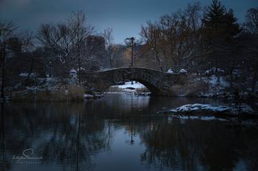 Central Park in Winter thumb