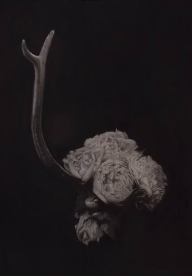 Original Fine Art Still Life Drawings by Anja Black