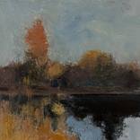 Swan lake by chris kunze