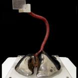 MEDIA PRESSURE - Lungs by Milos Vasiljevic