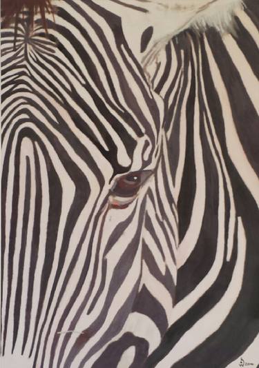 Zany Zebra thumb