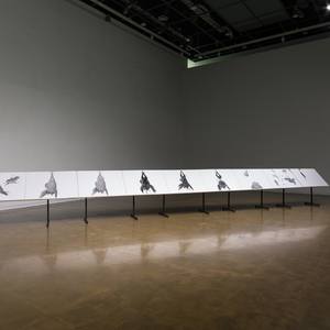 I forget my past, But the past remembers me (Installation View)