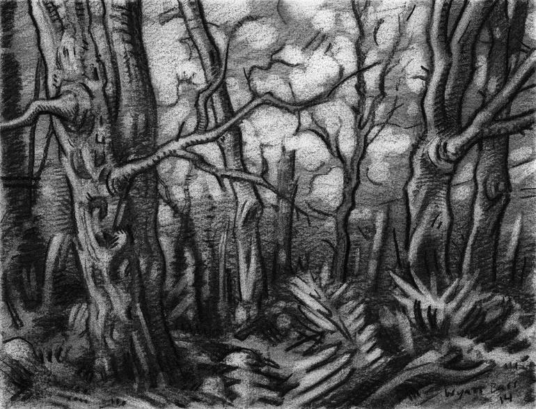 Understory 3 Drawing by Wyatt Barr | Saatchi Art