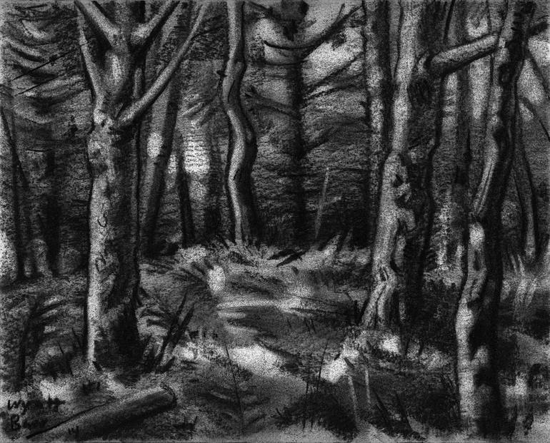 Understory 1 Drawing by Wyatt Barr | Saatchi Art