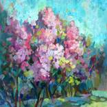 Collection Landscapes
