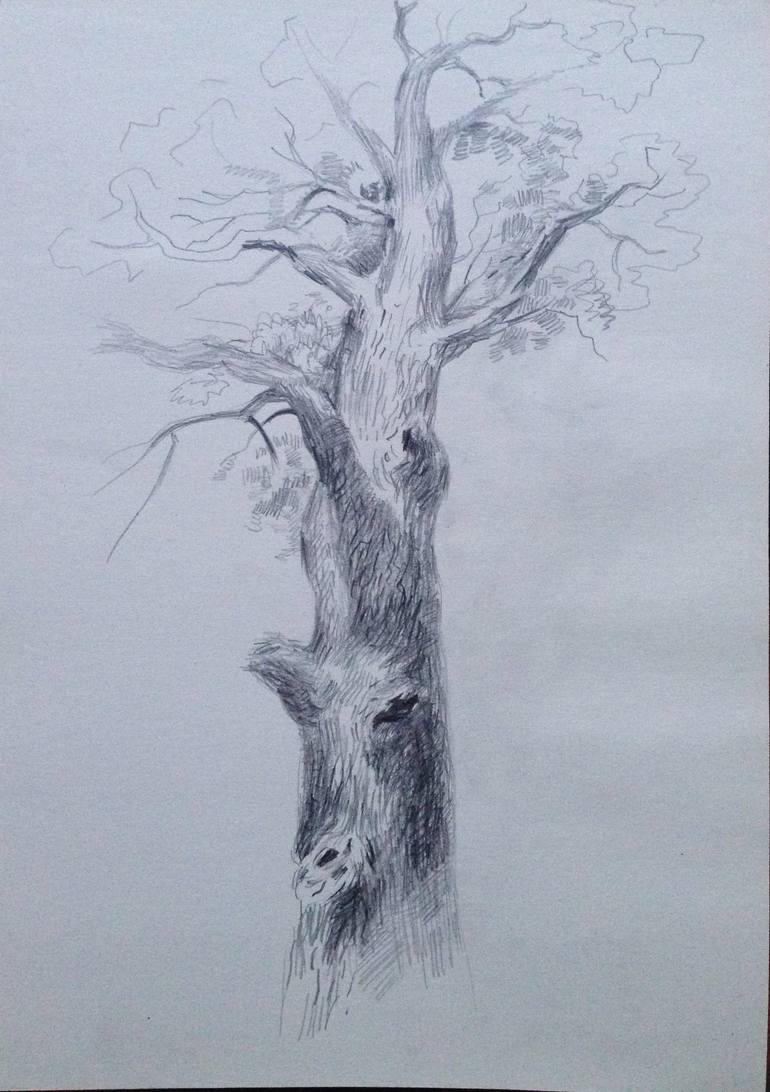 Oak Tree Drawing By Roman Sergienko Saatchi Art