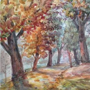 Collection Landscapes