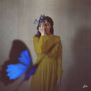 Collection Inspired by Fashion