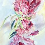 Purple Tulips 2025 by Daria Galinski