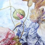 Still Life with Poppies and an Artichoke Flower by Daria Galinski