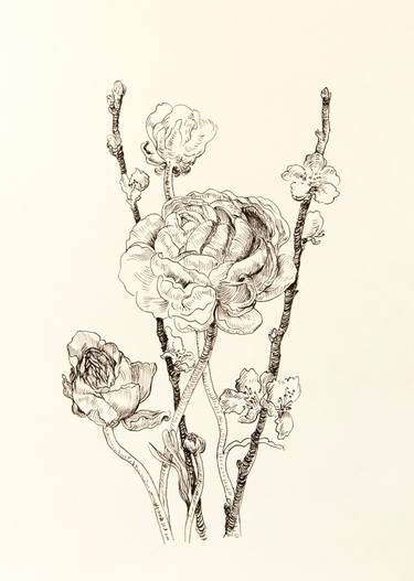 Saatchi Art Artist Daria Galinski; Drawings, “Ranunculus and sakura drawing” #art