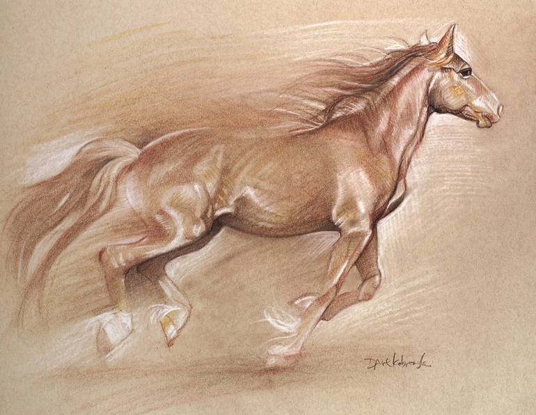 drawings of spirit the horse