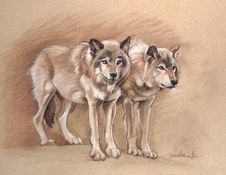 drawing of wolves in the wild