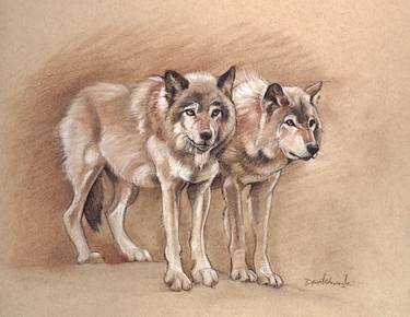 Wolves: Wildlife Drawing / Spirit Animals & Wild Places thumb