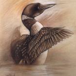 Wild Loon: Wildlife Drawing / Spirit Animals & Wild Places by Dave Kobrenski