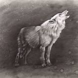 Sunkmanitu Tanka / the Wolf by Dave Kobrenski