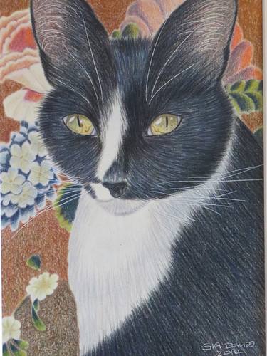 Original Fine Art Cats Drawings by Shirley Davies