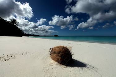 Coconut beach thumb