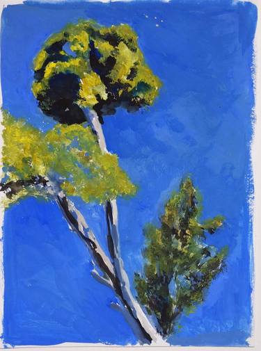 Pines of Corfu island thumb