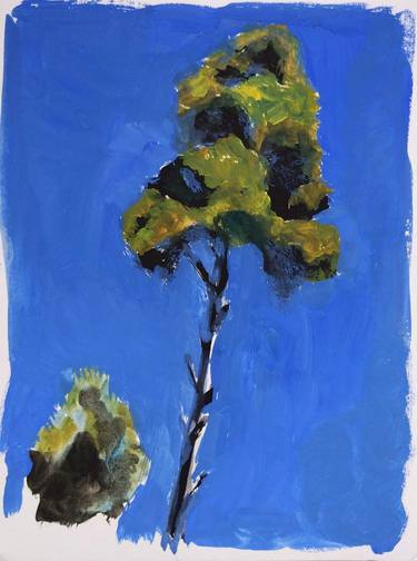 Pines of Corfu island 3 thumb