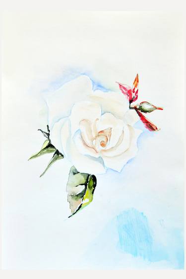 White Rose | Ukrainian artist | Original Watercolor Painting thumb