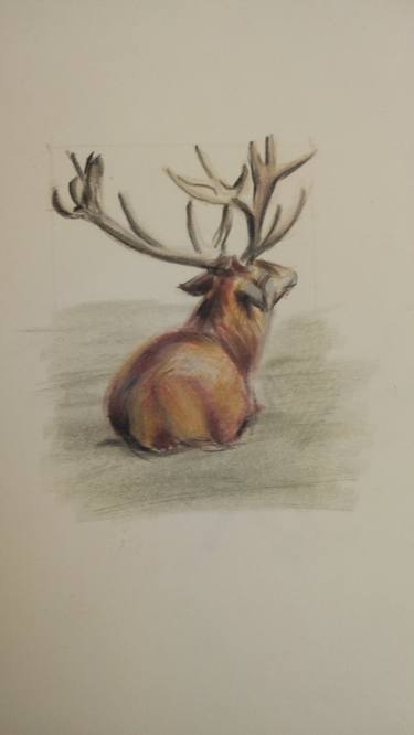 Deer, lying on Grass | Ukrainian artist | Original Drawing thumb