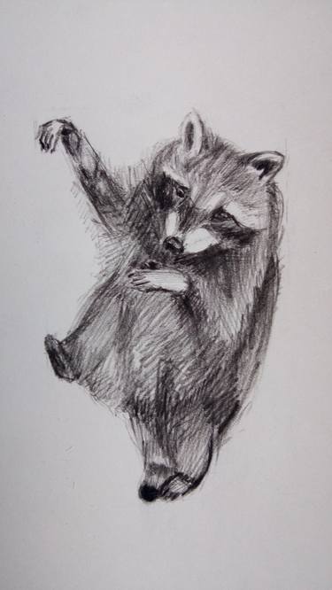 Dancing Raccoon | Ukrainian artist | Original Drawing thumb