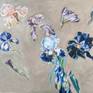 Irises