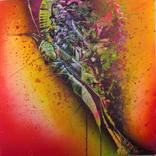 Fruit juice by Maksym Denysenko
