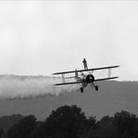 On A Wing And A Prayer by Michael Gaffney