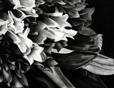 Print of Photorealism Floral Drawings by Duglas Manuel