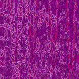 Collection FURTURISTIC ABSTRACTS