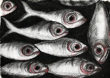 Original Fish Drawings by Max Sabet