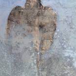 ice bird by Oliver Mampel