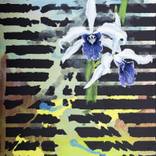 Orchid On Motor Fragment by Gunter Pusch