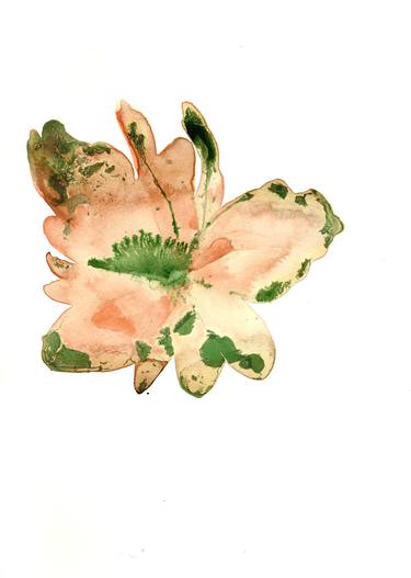 Original Botanic Paintings by Elisabetta Yoni