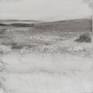 view additional image 1