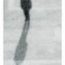 view additional image 1