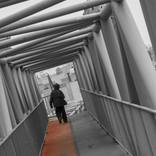 Go the way you want. by Pedram Zarandi